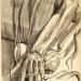 Anatomical drawing from Anatomia Humani Corporis